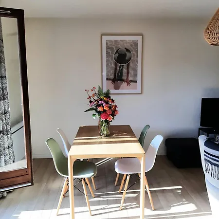 A 100 M De La Plage, T2-46 M2, La Baie De Memard, Lac Du Bourget, Savoie 公寓 *